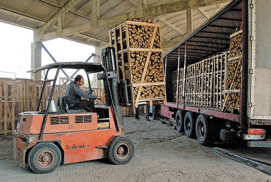 Відправлені на експорт поколоті й висушені дрова вже стали справжньою валютною золотою жилою. Фото автора